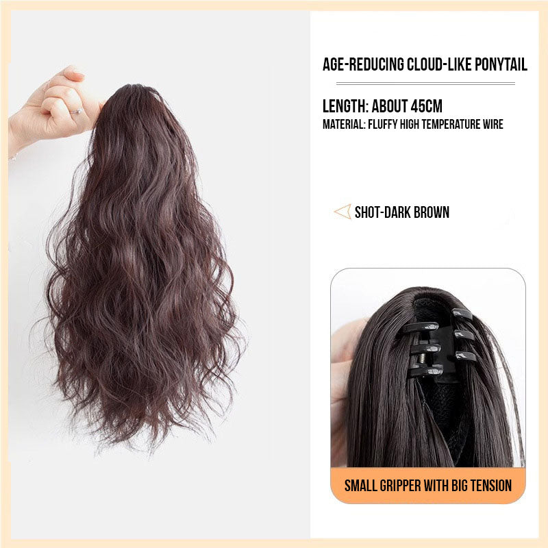 WaveClip Ponytail