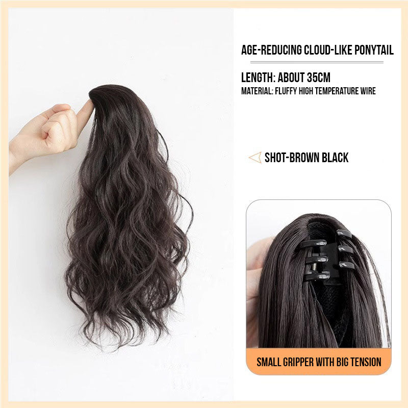 WaveClip Ponytail