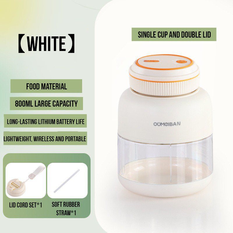Fruit Blender Bottle