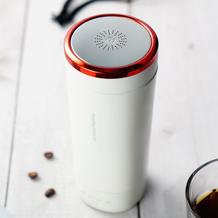 Portable Boiling Mug
