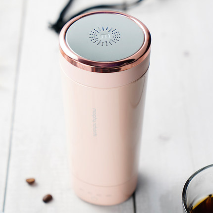 Portable Boiling Mug