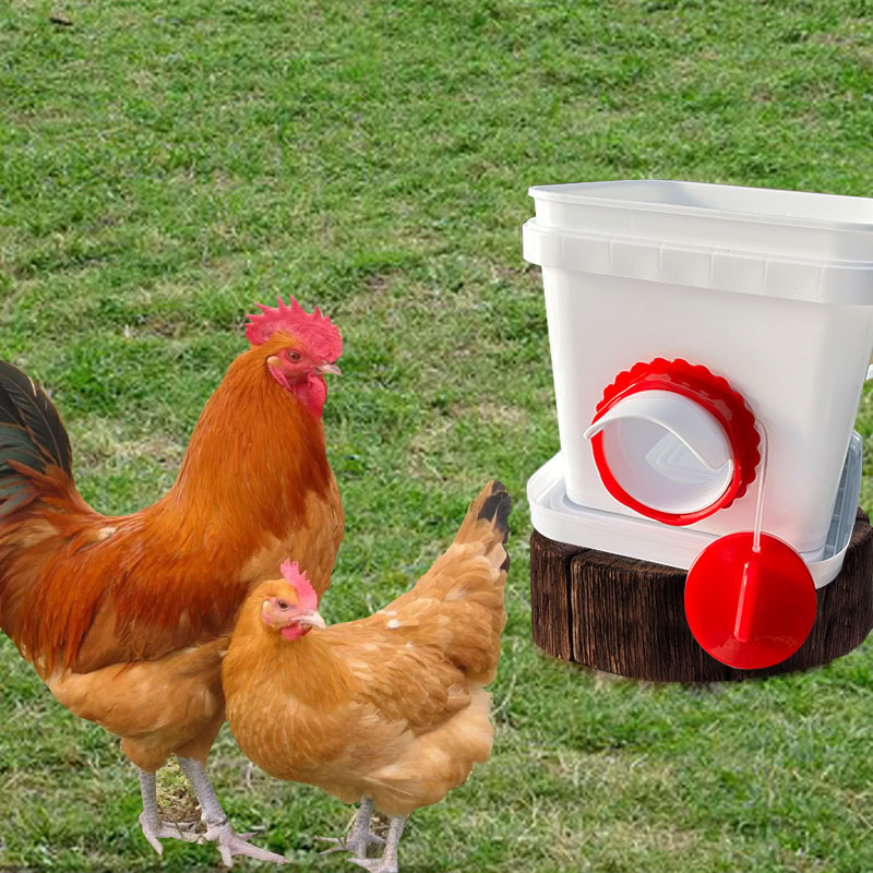 CleanCoop Feeder Kit
