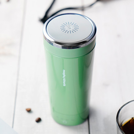 Portable Boiling Mug