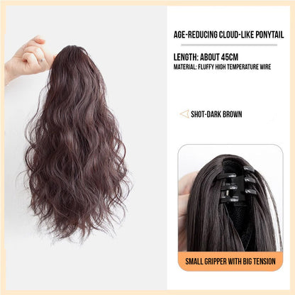 WaveClip Ponytail