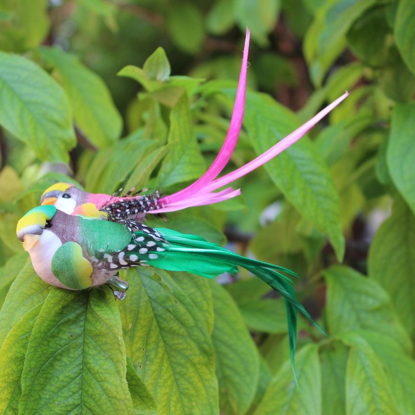 Fake Birds Decoration