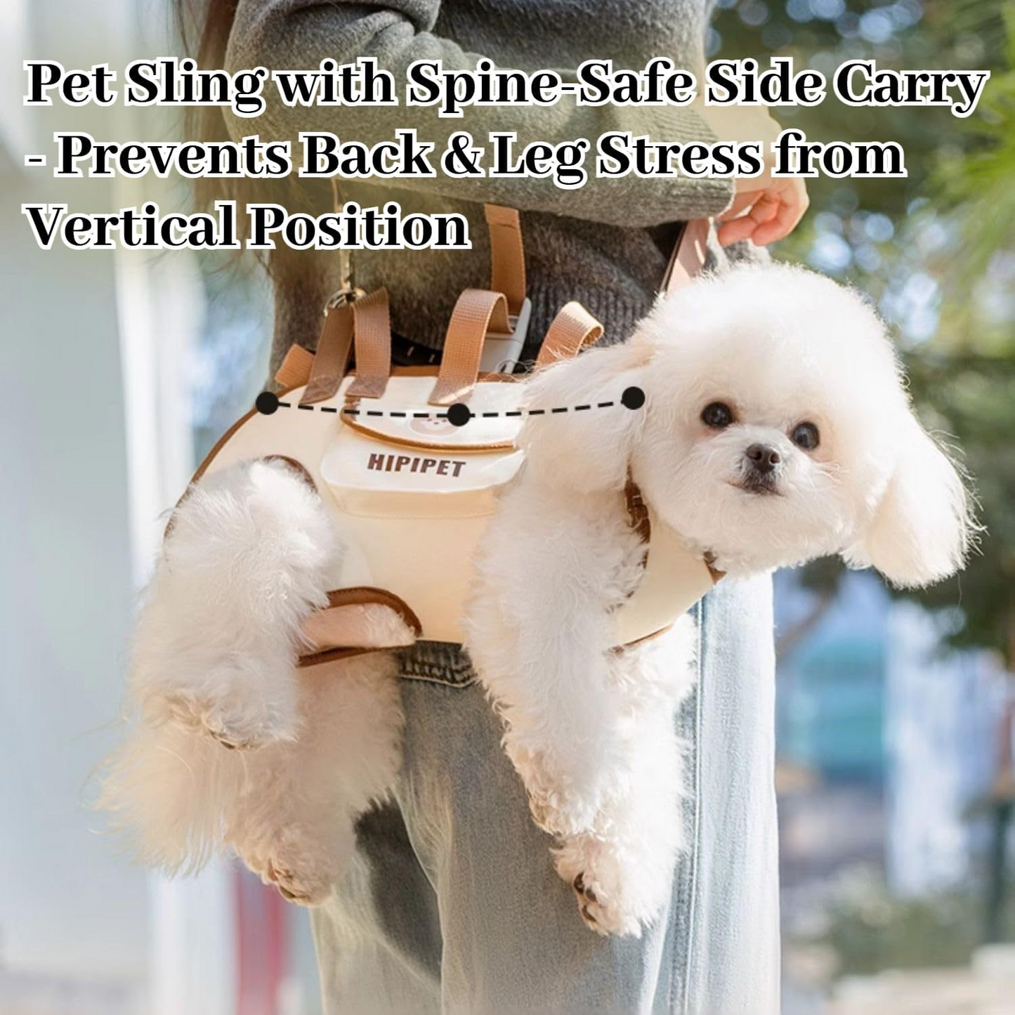 Pet Carry Bag