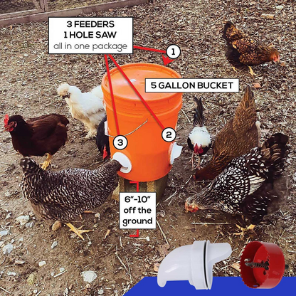CleanCoop Feeder Kit